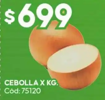 Diarco Cebolla oferta