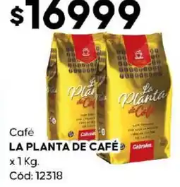 Diarco La planta de café oferta