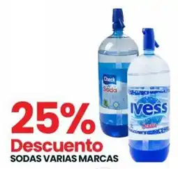 Punto Mayorista Sodas varias marcas oferta