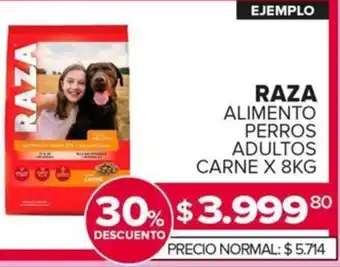 Carrefour Maxi Raza alimento perros adultos carne oferta