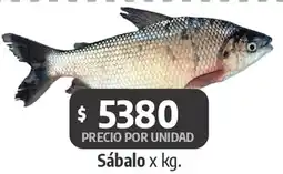 Autoservicio Capo Sábalo oferta