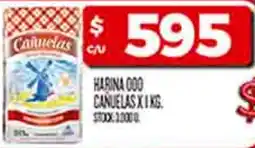 Supermercados DIA Canuelas harina 000 oferta