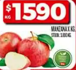 Supermercados DIA Manzana oferta