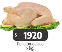 Autoservicio Capo Pollo congelado oferta