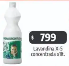 Autoservicio Capo Lavandina X-5 concentrada oferta