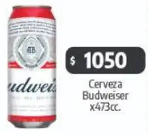 Autoservicio Capo Budweiser cerveza oferta