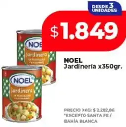 Supermayorista Vital Noel jardinera oferta