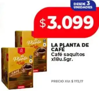 Supermayorista Vital La planta de cafe café saquitos oferta