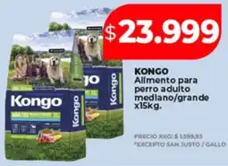 Supermayorista Vital Kongo allmento para perro adulto mediano/grande oferta