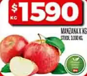 Supermercados DIA Manzana oferta