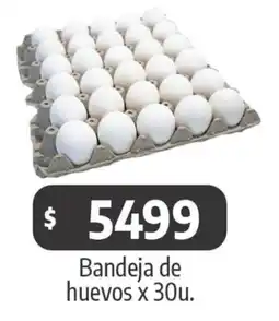 Autoservicio Capo Bandeja de huevos oferta