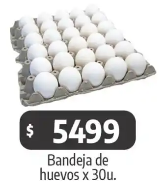 Autoservicio Capo Bandeja de huevos oferta