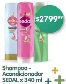 Supermercados Buenos Días Sedal shampoo- acondicionador oferta