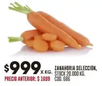 Coto Zanahoria selección oferta