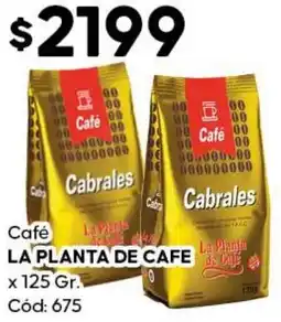 Diarco La planta de café oferta