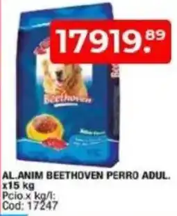 Maxiconsumo Al.anim beethoven perro adul. oferta