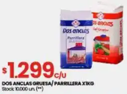 Changomas Dos anclas gruesa/parrillera oferta