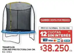 Carrefour También con red protectora oferta