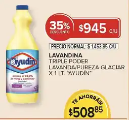 Carrefour Ayudin lavandina triple poder lavanda/pureza glaciar oferta