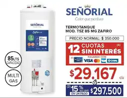 Carrefour Señorial termotanque oferta