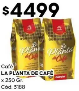 Diarco La planta de café oferta