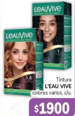 Beltrán Supermercados L'eau vive tintura colores varios oferta