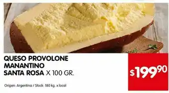 Disco Queso provolone manantino santa rosa x 100g oferta