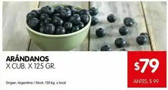 Disco Arándanos x cubeta 125g oferta