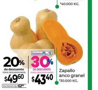La Anonima Zapallo anco granel oferta