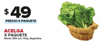 Carrefour Maxi Acelga x Paquete oferta