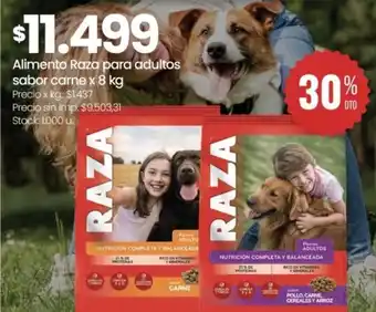 Changomas Alimento Raza para adultos sabor carne oferta