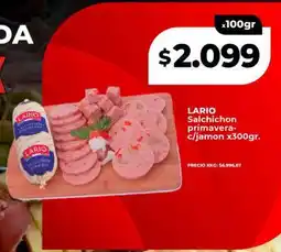 Supermayorista Vital LARIO Salchichon primavera-c/jamon oferta