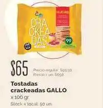 Jumbo Gallo Tostadas Crackeadas x100gr oferta