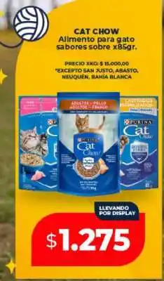 Supermayorista Vital Cat Chow oferta