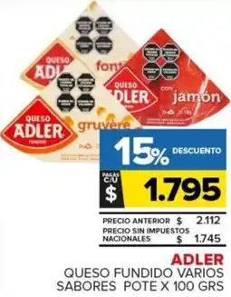 Carrefour Adler queso fundido varios sabores pote oferta