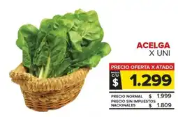 Carrefour Acelga oferta