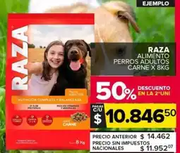 Carrefour Raza alimento perros adultos carne oferta
