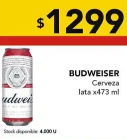 Nini Mayorista BUDWEISER Cerveza lata oferta