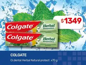 Nini Mayorista Colgate Cr. dental Herbal Natural protect oferta