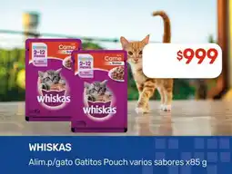 Nini Mayorista Whiskas Alim.p/gato Gatitos Pouch varios sabores oferta