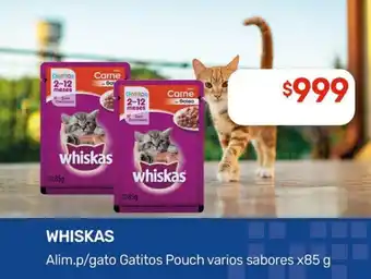 Nini Mayorista Whiskas Alim.p/gato Gatitos Pouch varios sabores oferta