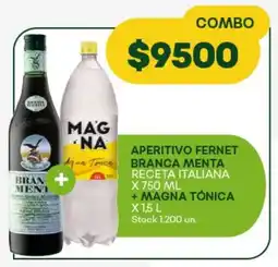 Super MAMI Aperitivo fernet branca menta receta italiana + magna tónica oferta