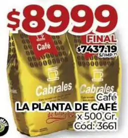 Diarco Café LA PLANTA DE CAFÉ oferta