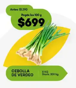 Super MAMI Cebolla de verdeo oferta