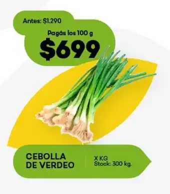 Super MAMI Cebolla de verdeo oferta