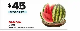 Carrefour Sandía kg oferta