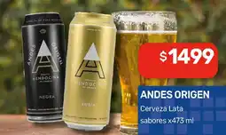 Nini Mayorista Andes origen Cerveza Lata sabores oferta