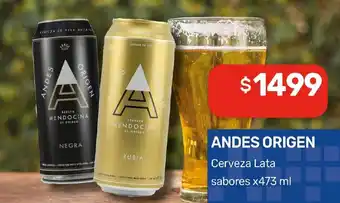 Nini Mayorista Andes origen Cerveza Lata sabores oferta