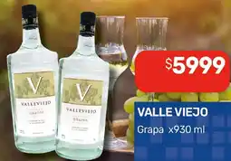 Nini Mayorista Valle Viejo grapa oferta