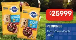 Nini Mayorista Pedigree alim.p/perro cach. oferta